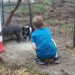 Meet your Posher, Samantha